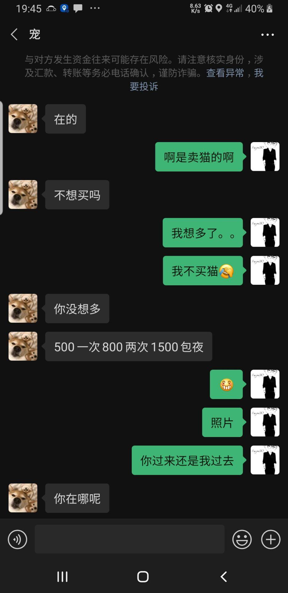 20230215012222828 20230215012222828