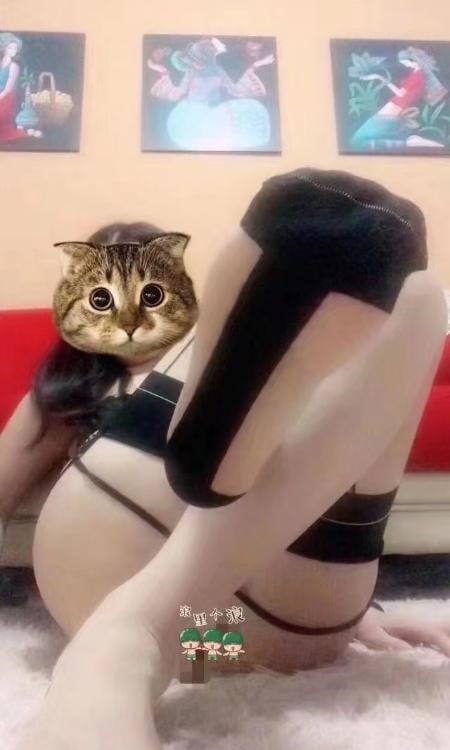 福田性感骚妇