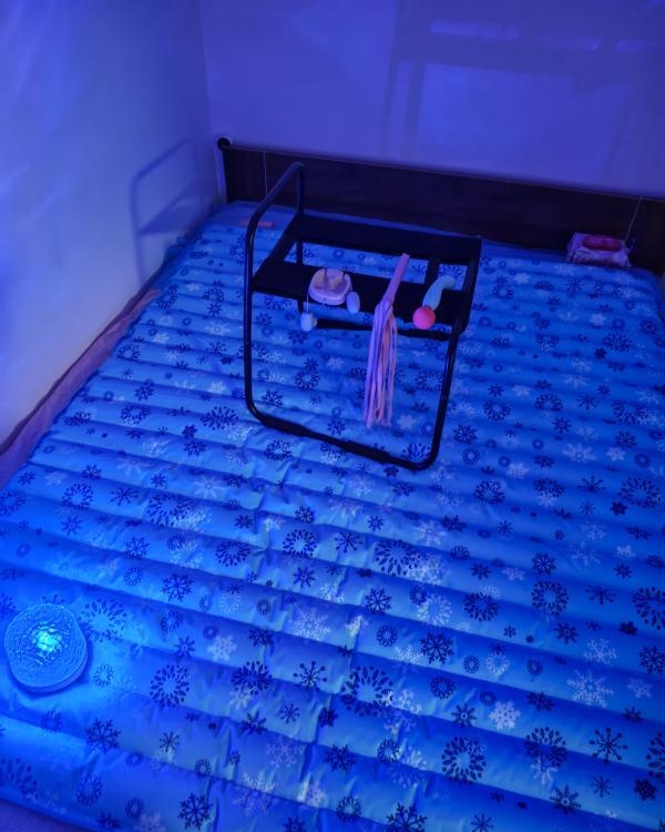 AV水床小刺猬