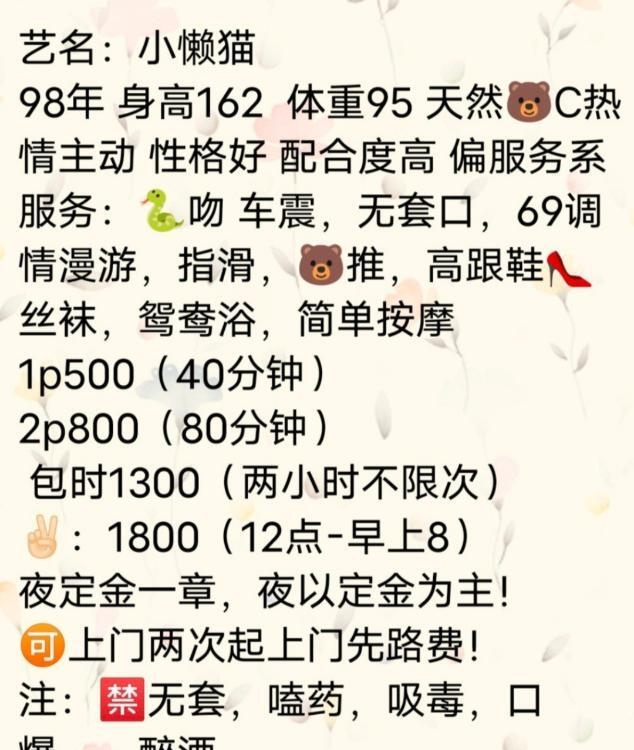 武汉小懒猫