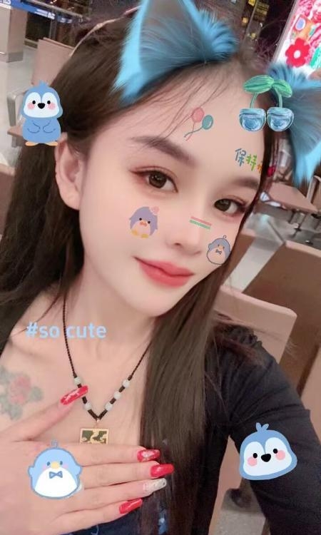 颜值小花猫