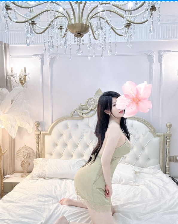 李沧区小美狐